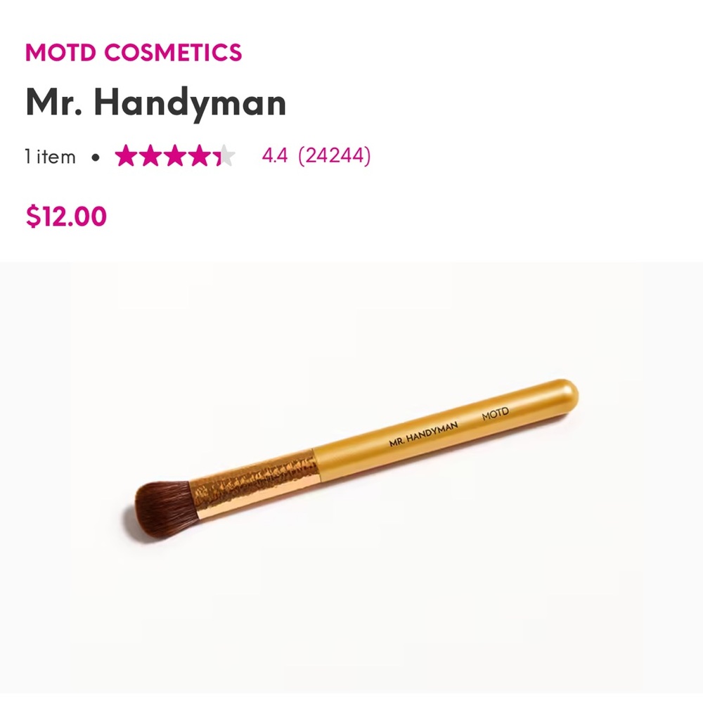 NWT Ipsy MOTD Mr. Handyman Makeup Brush